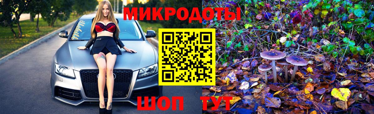 Шуя  Псилоцибиновые грибы Cubensis  Вход с VPN 