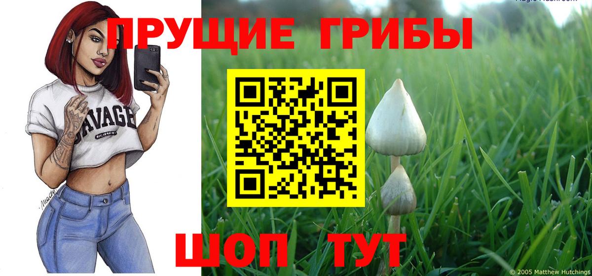 Галлюциногенные грибы мухоморы Шуя